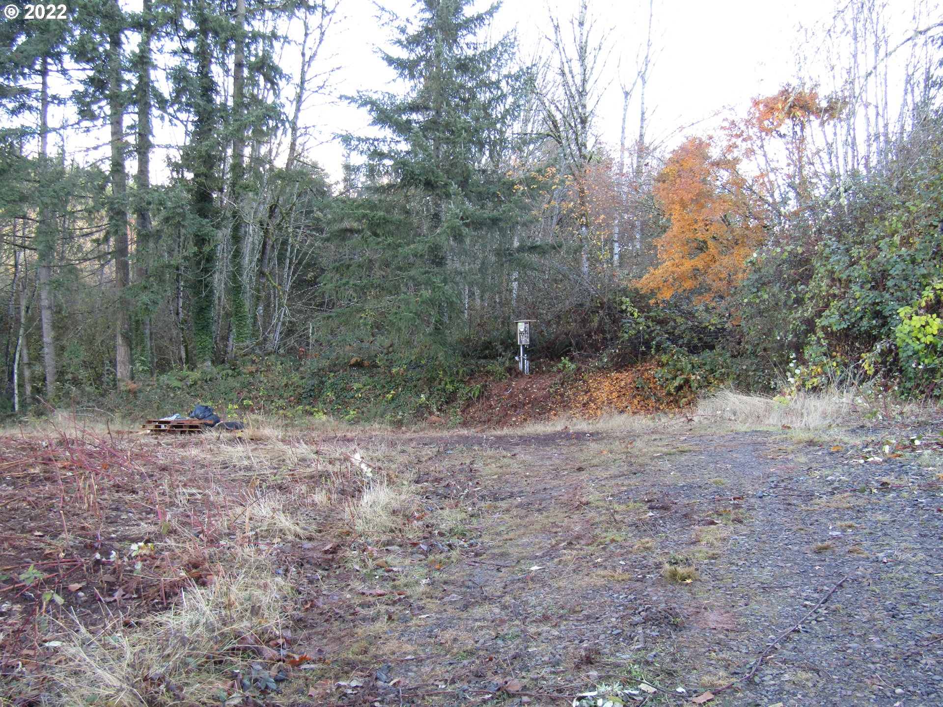23200 South Ridge Road Beavercreek, OR 97004 - Photo 6 of 11 Gallery Image 6