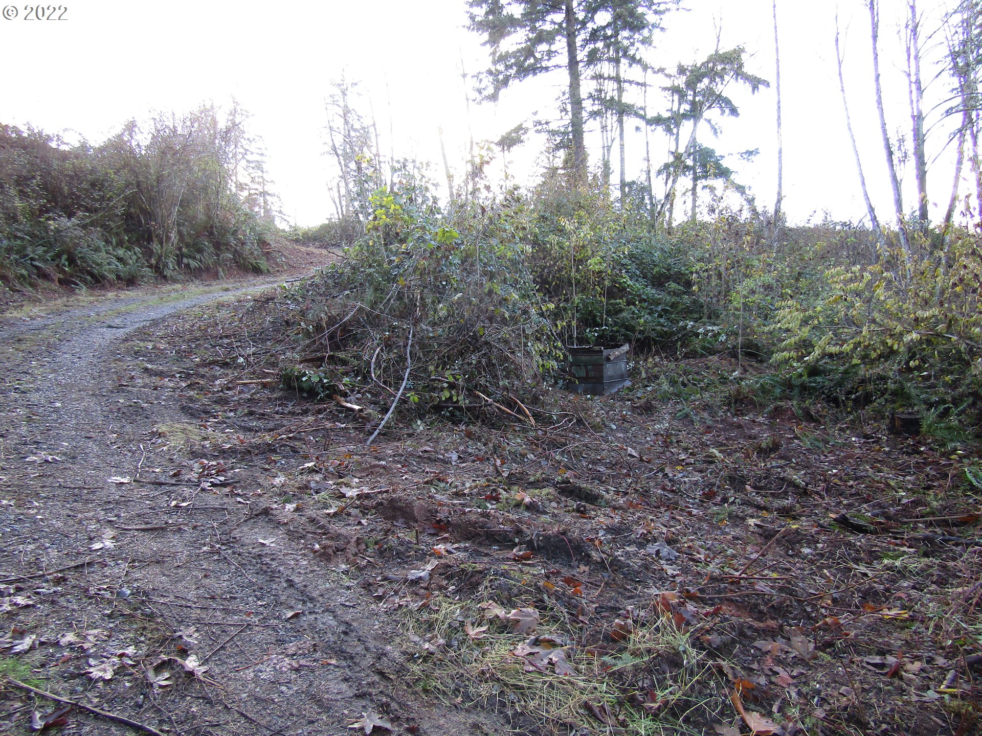 23200 South Ridge Road Beavercreek, OR 97004 - Photo 7 of 11 Gallery Image 7