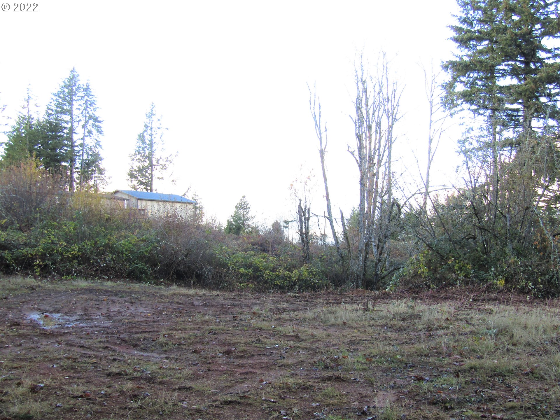 23200 South Ridge Road Beavercreek, OR 97004 - Photo 8 of 11 Gallery Image 8