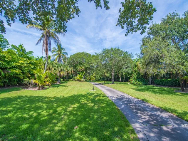 a view of a yard with a large trees
