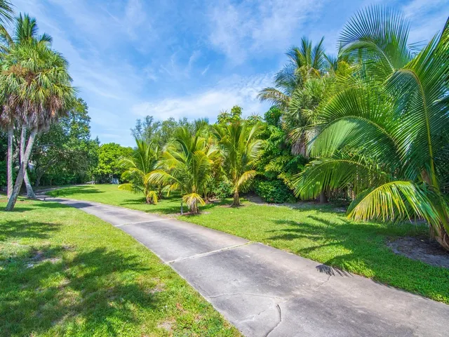 a view of a backyard with plants and palm trees