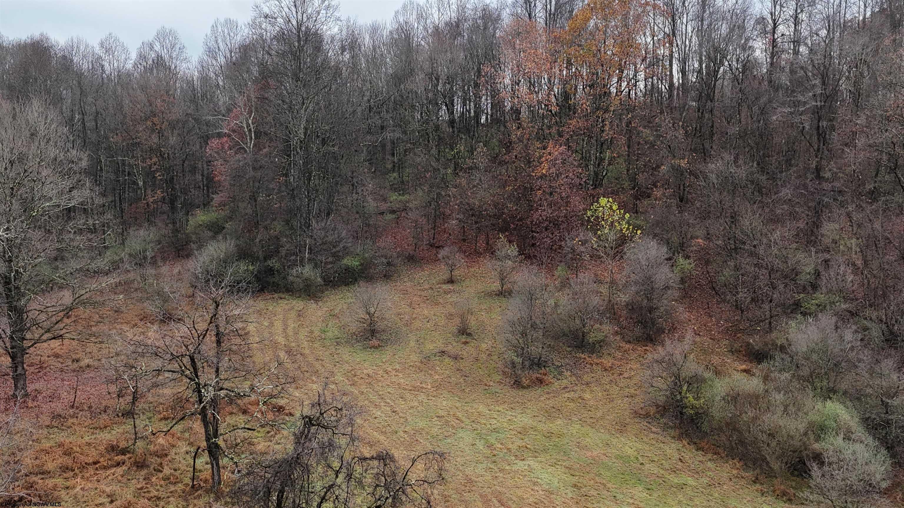 2815 Stalnaker Road Belington, WV 26250 - Photo 28 of 41 Gallery Image 28