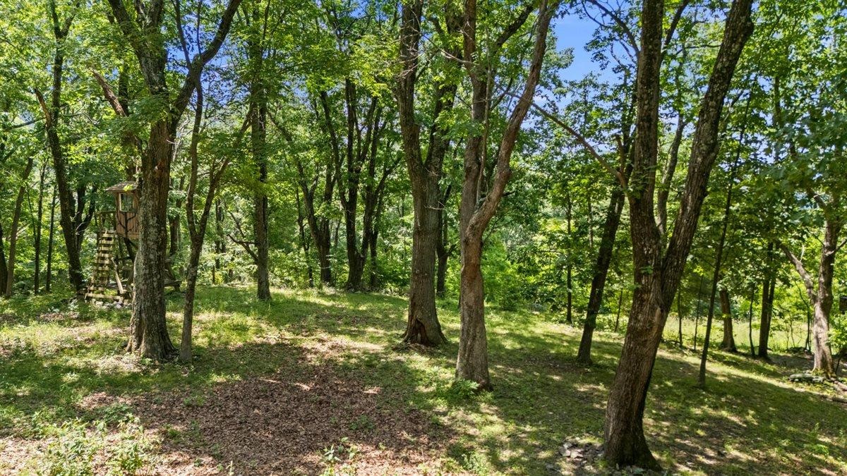 Lot 19-20 Hidden Hill Road Stanley, VA 22851 - Photo 15 of 20