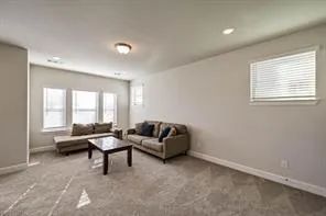a living room with furniture and a rug