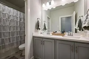 a bathroom with a sink a toilet and a mirror
