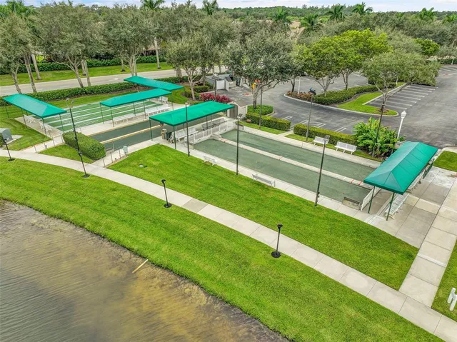 a garden with palm tree