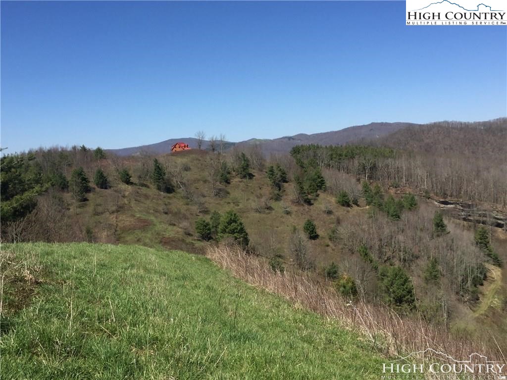 Raven Rock Farm Road Sugar Grove, NC 28679 - Photo 3 of 7 Gallery Image 3
