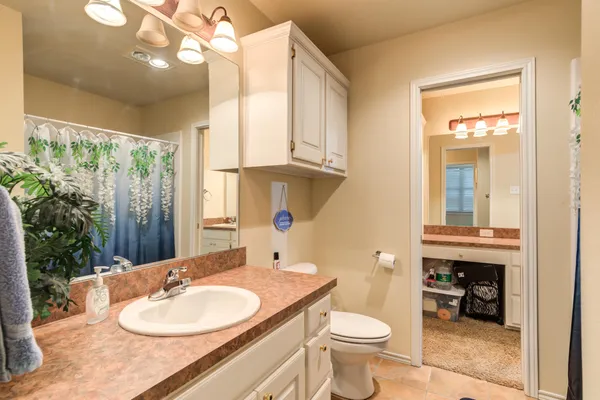 a view of a yard with trees