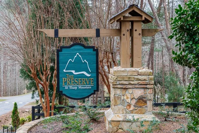 a view of a yard in a forest