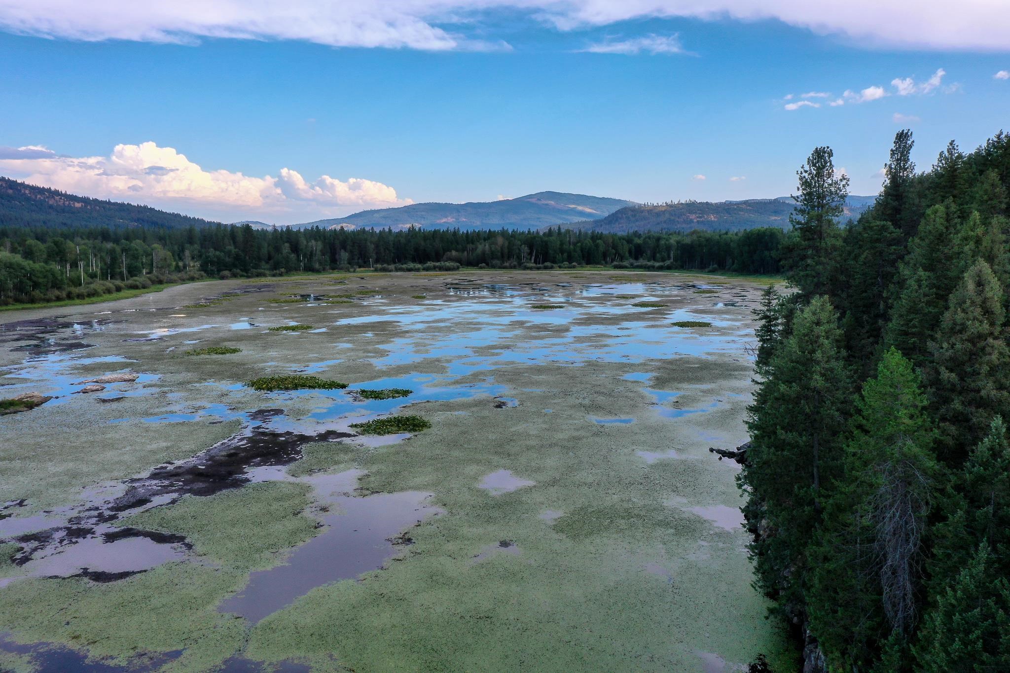 579 Blue Heron Road Newport, WA 99156 - Photo 35 of 43