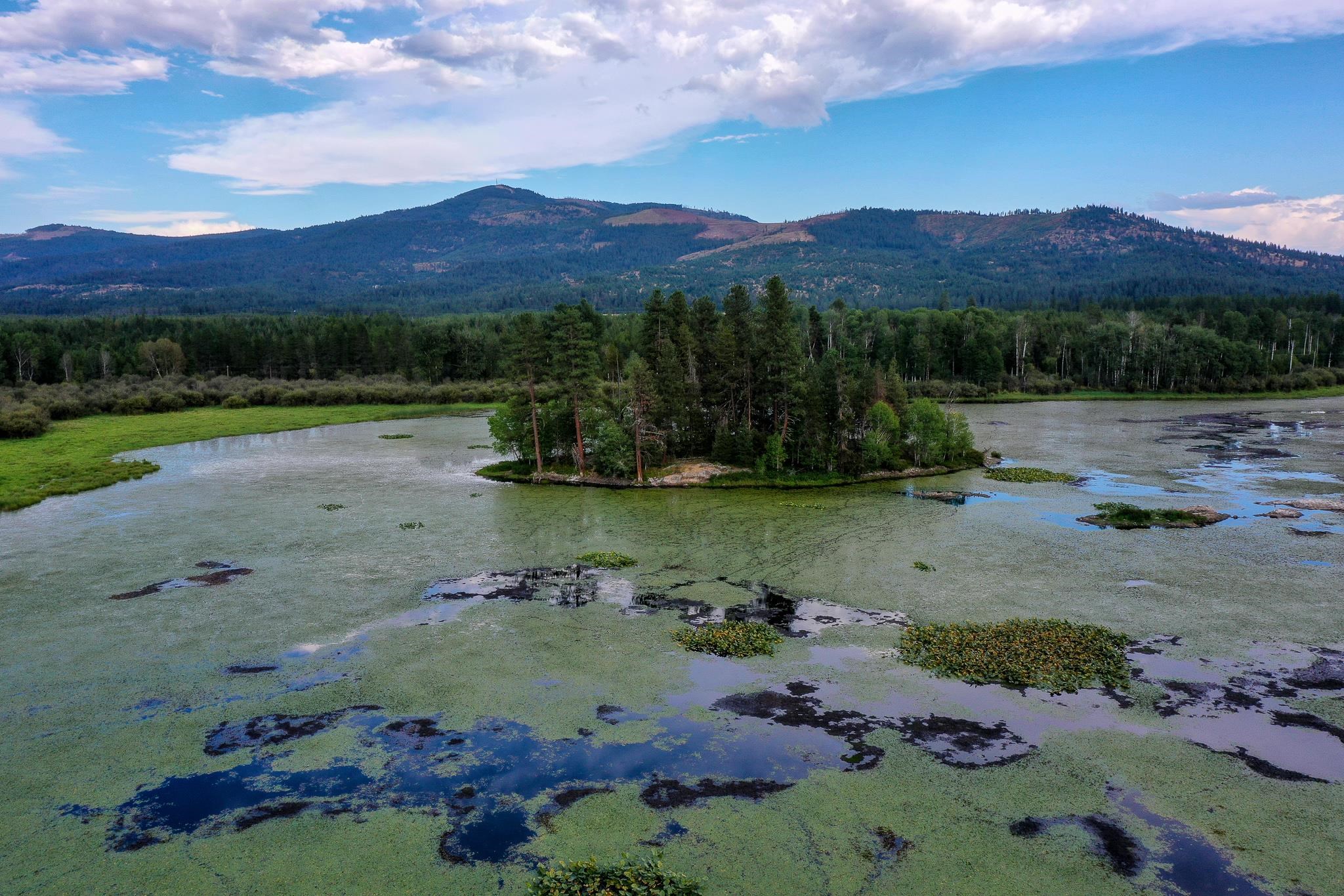 579 Blue Heron Road Newport, WA 99156 - Photo 36 of 43