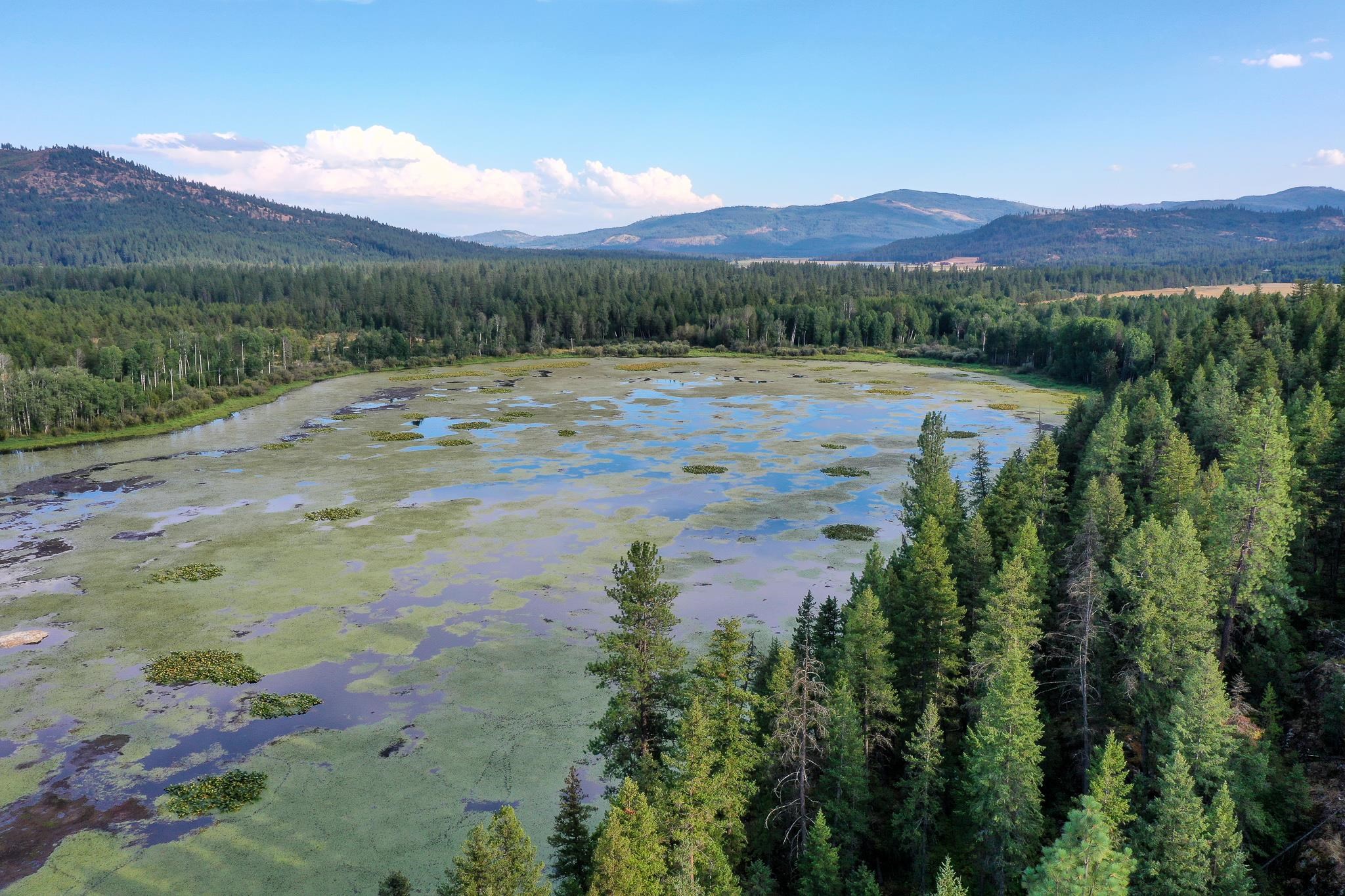 579 Blue Heron Road Newport, WA 99156 - Photo 37 of 43