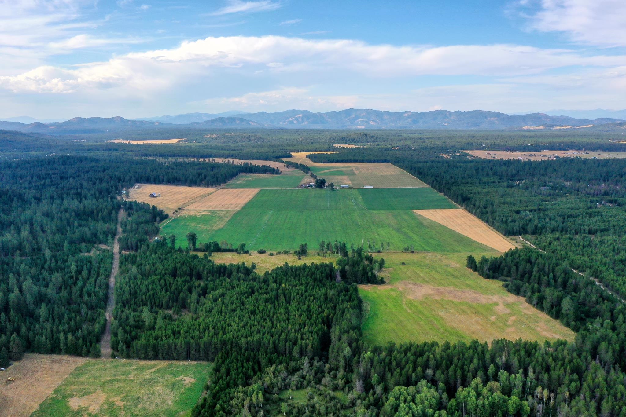 579 Blue Heron Road Newport, WA 99156 - Photo 41 of 43