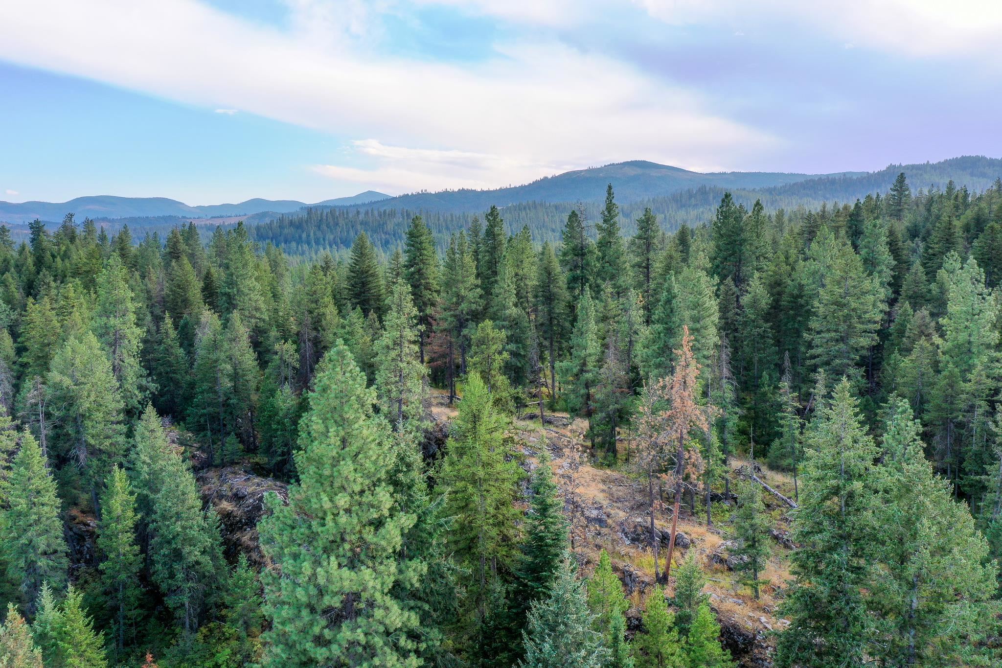 579 Blue Heron Road Newport, WA 99156 - Photo 42 of 43