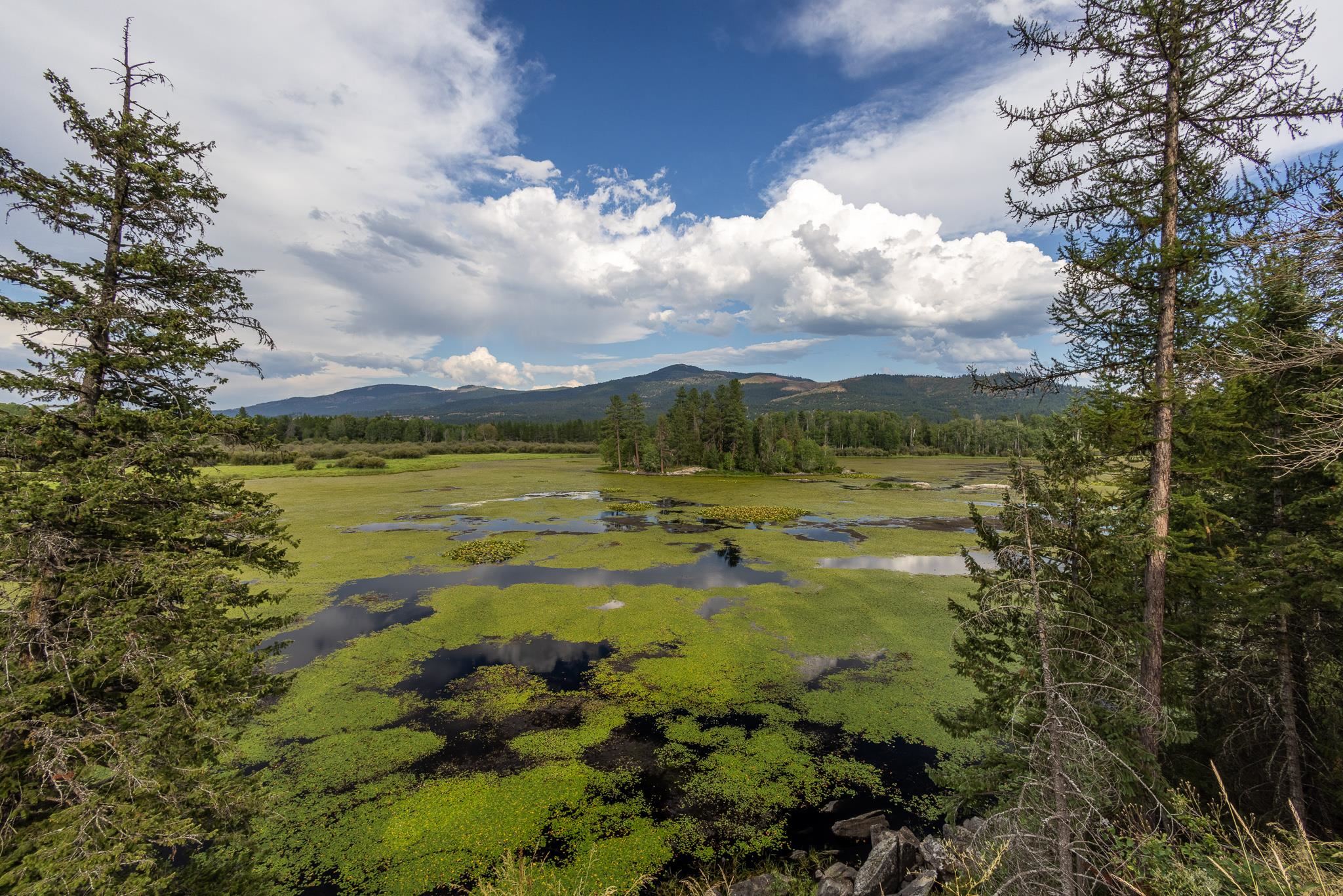 579 Blue Heron Road Newport, WA 99156 - Photo 6 of 43