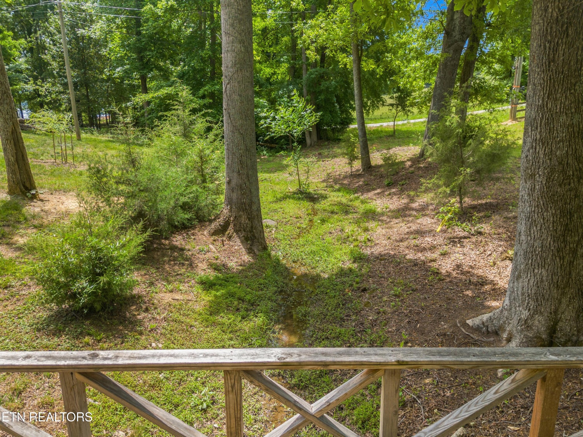 860 Harrison Ferry Road Baneberry, TN 37890 - Photo 20 of 60 Gallery Image 20