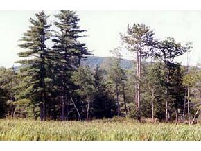 24 Gilman Point Road Moultonborough, NH 03254 - Photo 3 of 4 Gallery Image 3