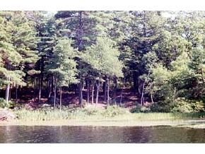 24 Gilman Point Road Moultonborough, NH 03254 - Photo 4 of 4 Gallery Image 4