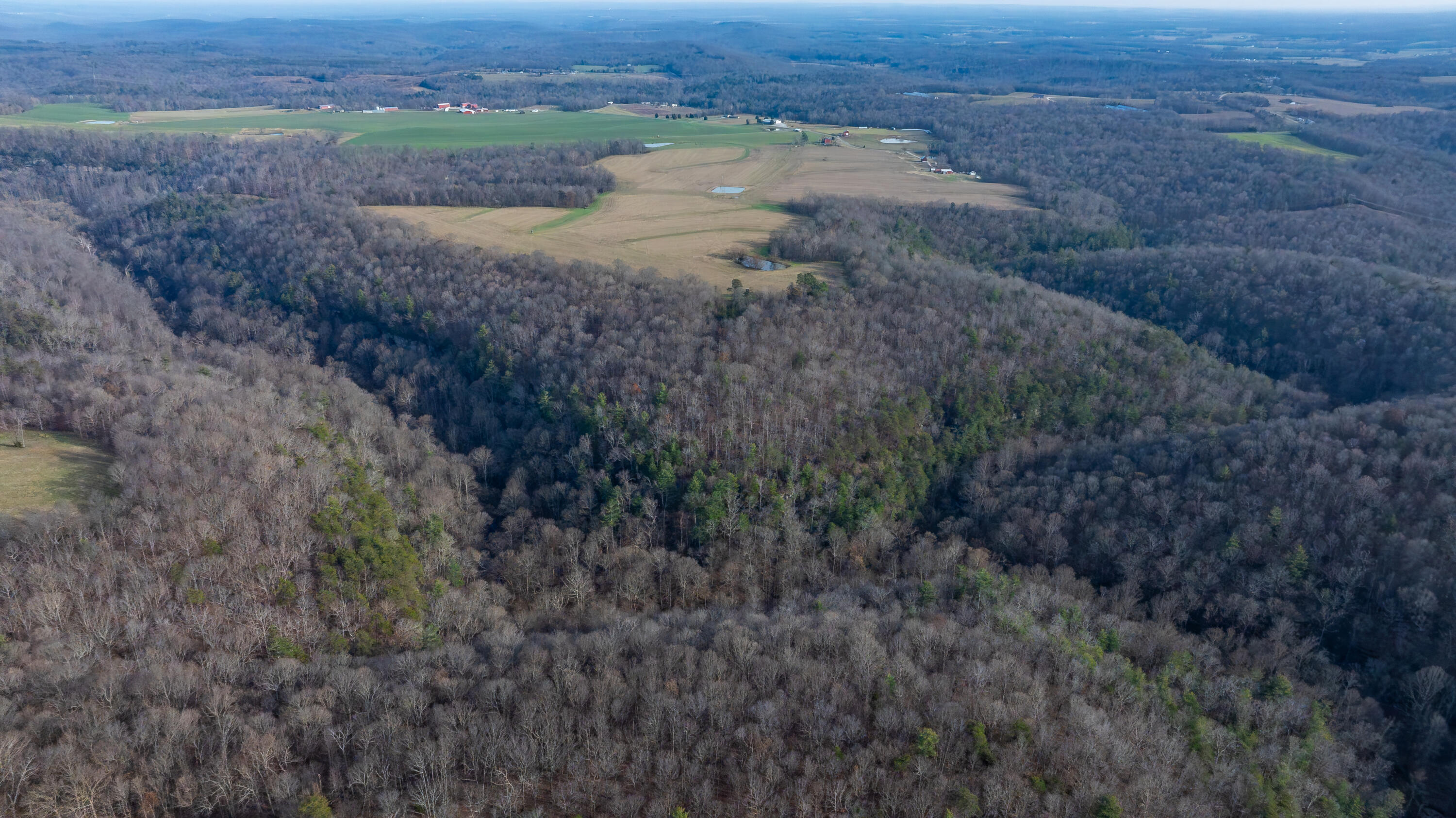 0 Coal Bank Road Sharon Grove, KY 42280 - Photo 10 of 16 DJI_20251212142354_0179_D-HDR