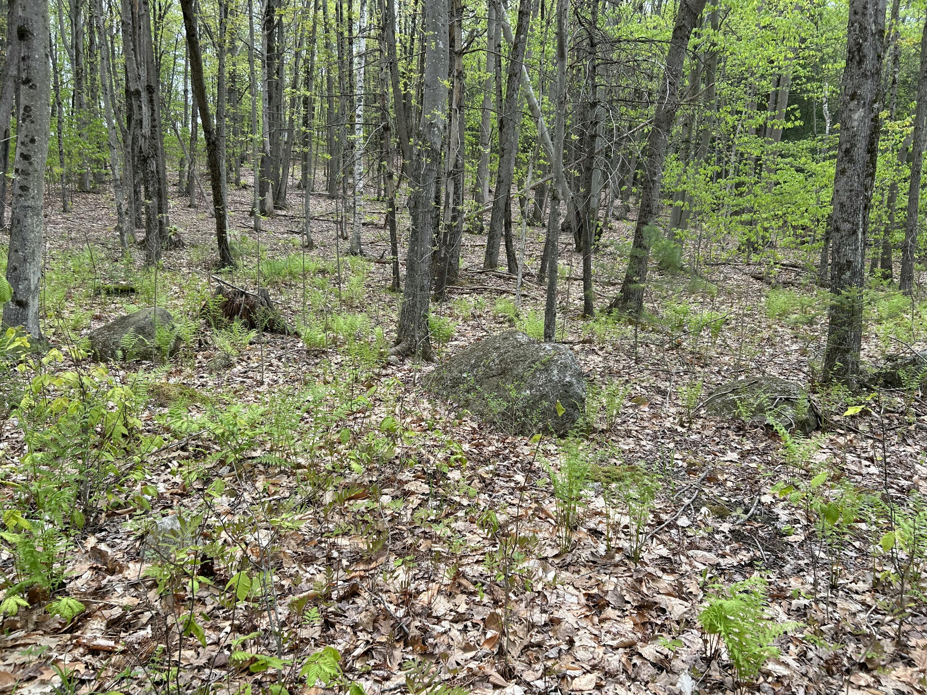 281 Randall Road Lewiston, ME 04240 - Photo 21 of 31