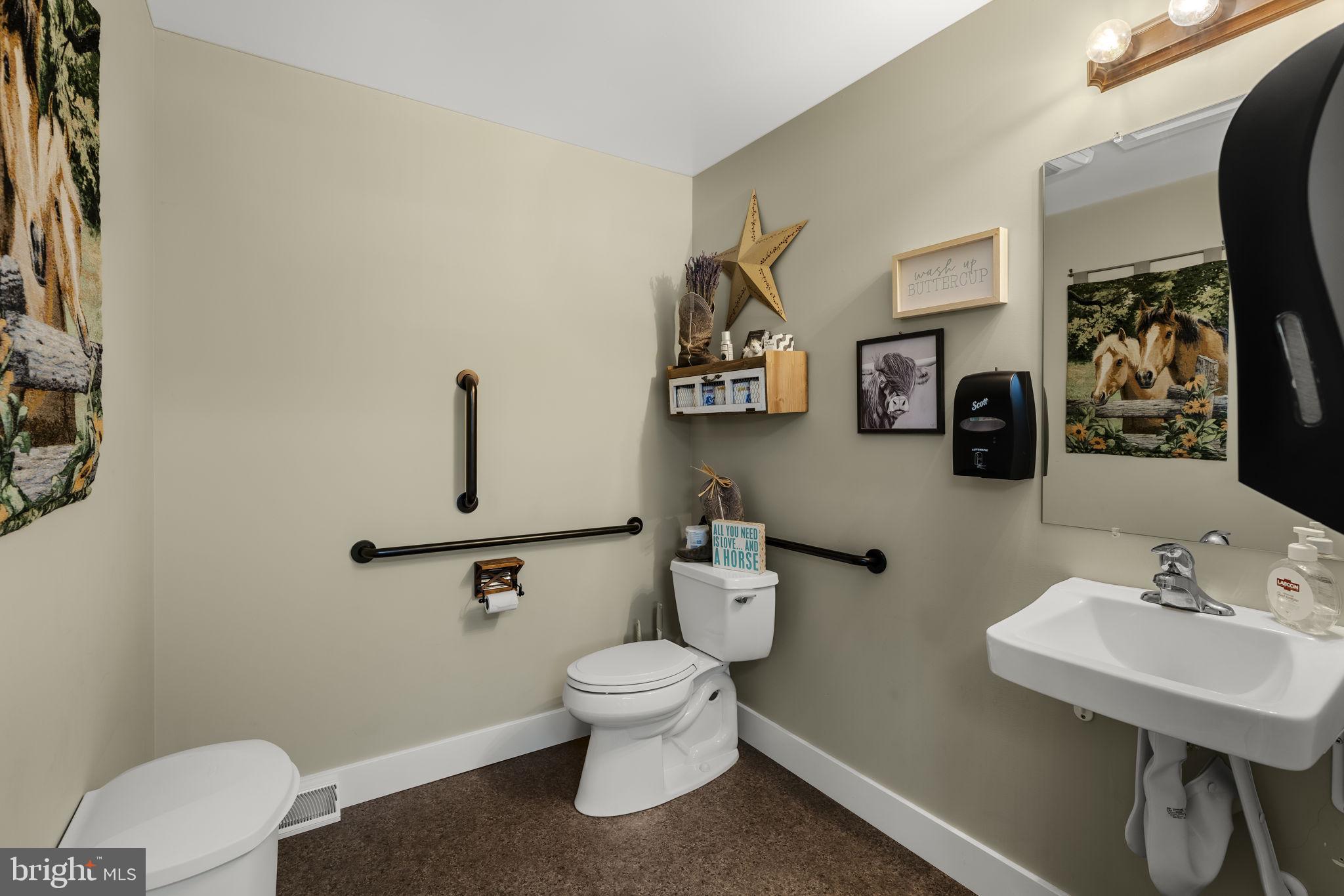 744 Lime Quarry Road Gap, PA 17527 - Photo 57 of 76 a white toilet sitting next to a bathroom sink