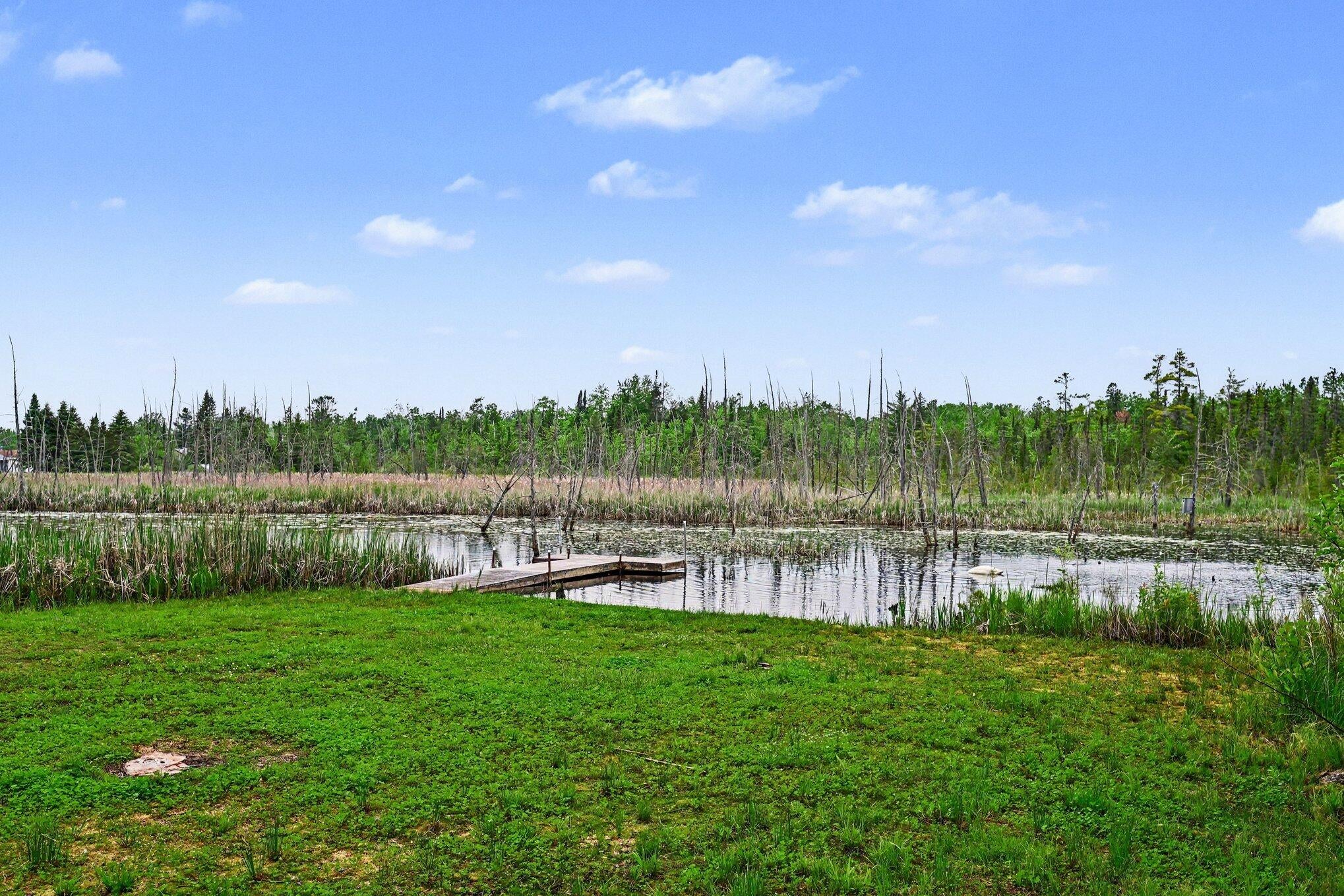 3036 Wurm Road Wolverine, MI 49799 - Photo 22 of 38 Gallery Image 22