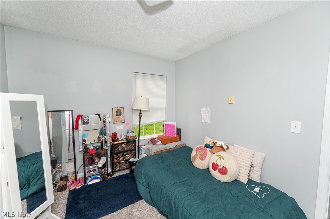 3612 Webb Road Ravenna, OH 44266 - Photo 20 of 37