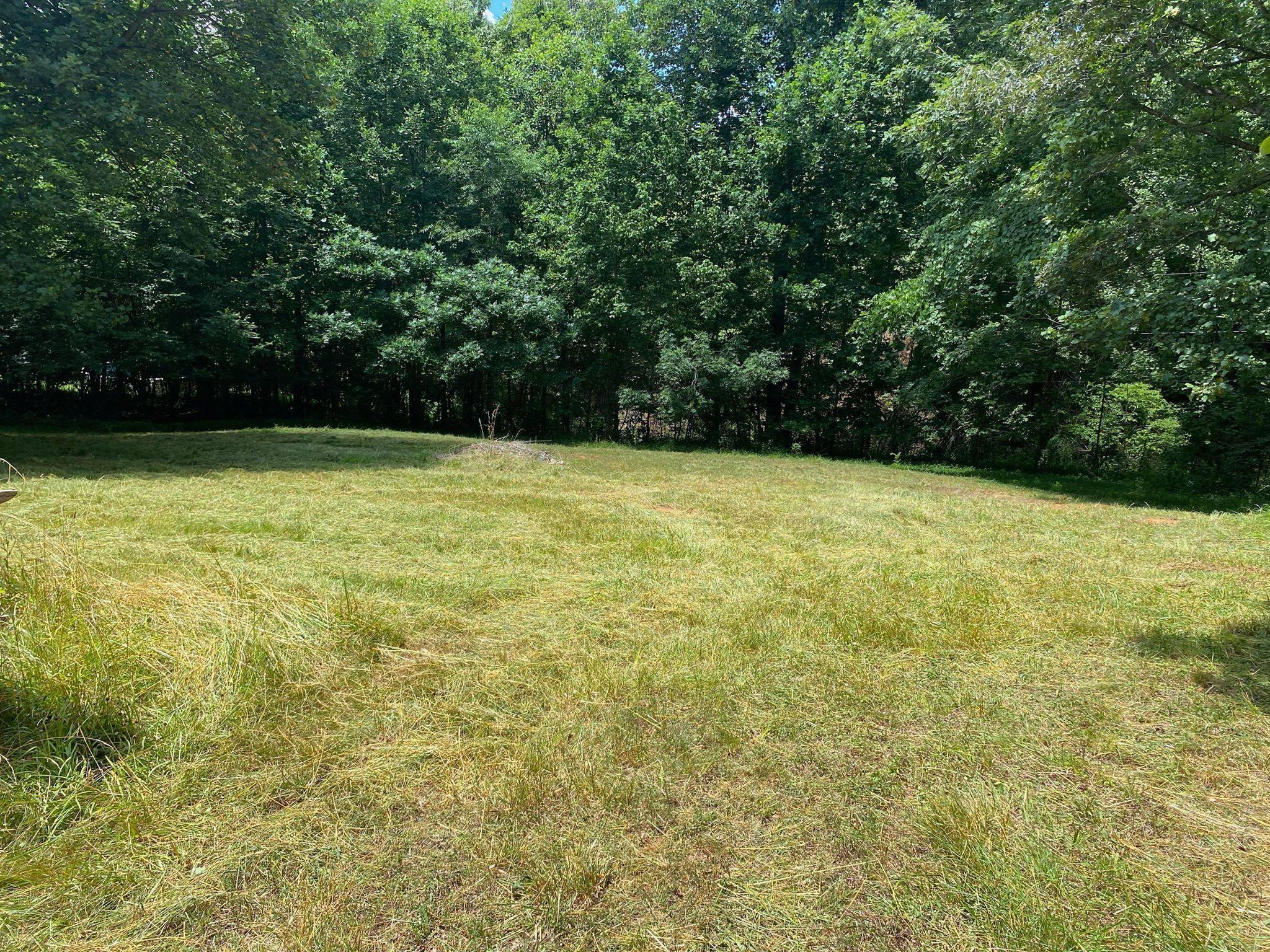20 Tolley Road Hardy, VA 24101 - Photo 12 of 12 a view of a yard with a sink