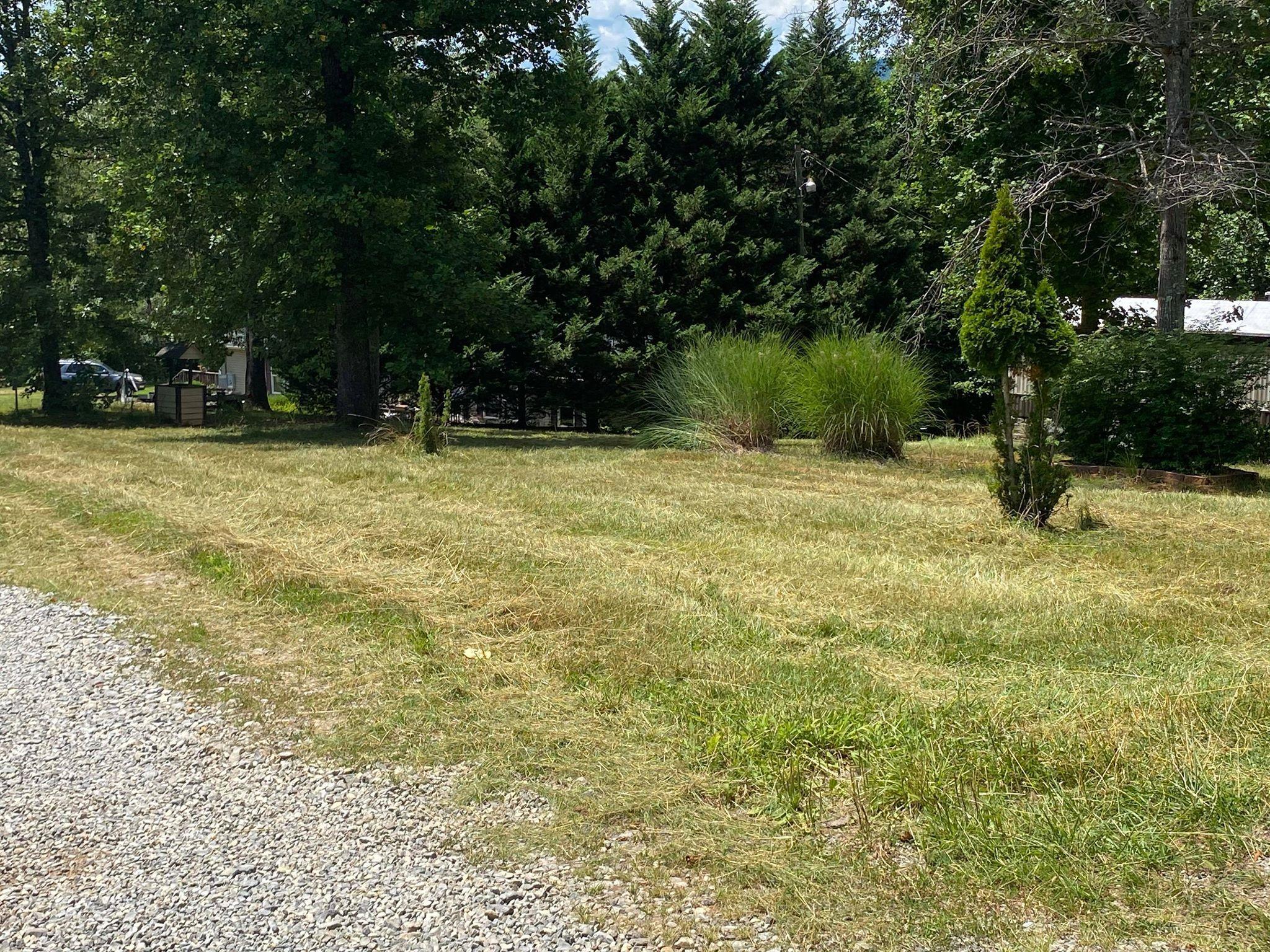 20 Tolley Road Hardy, VA 24101 - Photo 3 of 12 a house with trees in the background