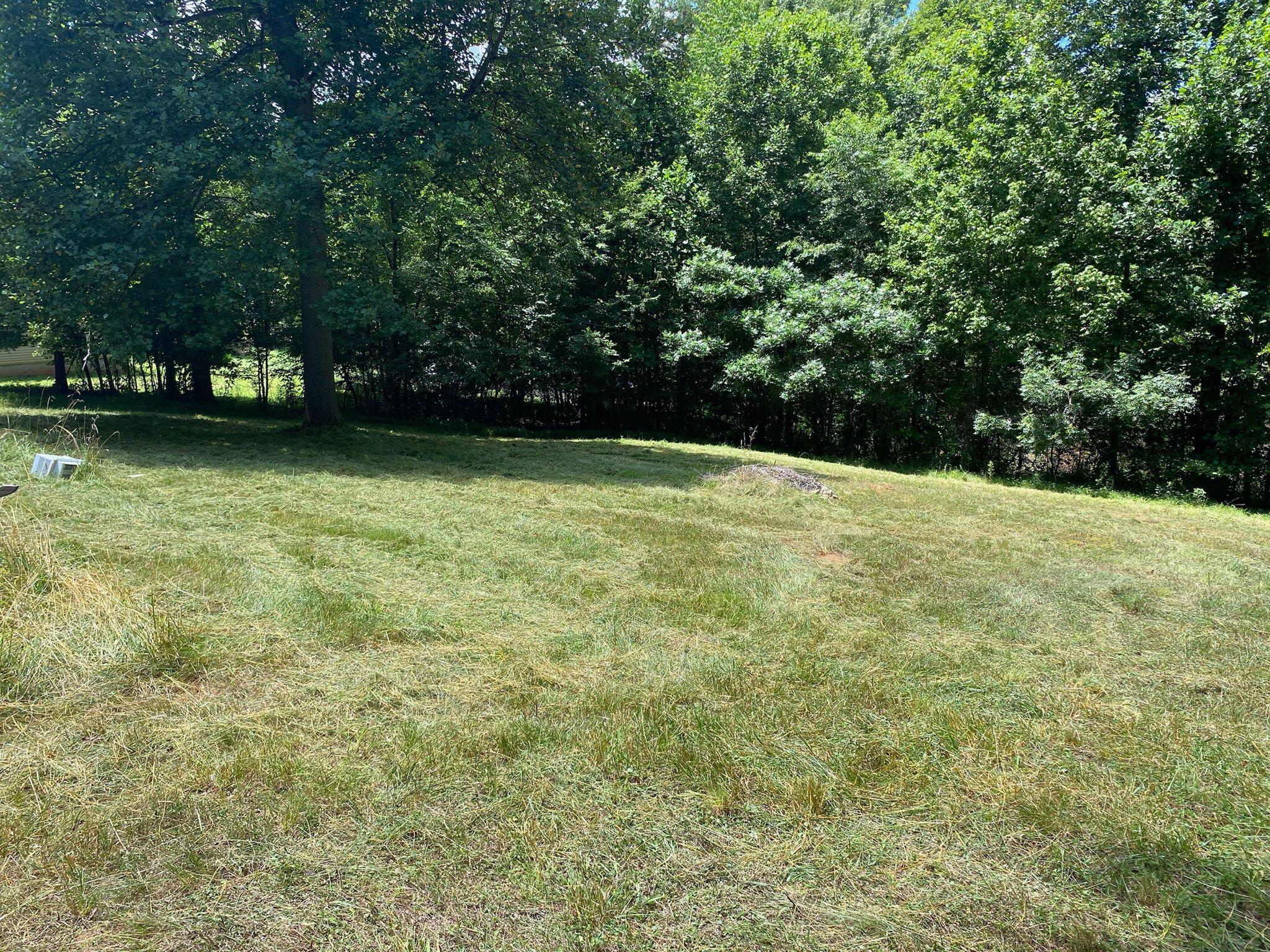 20 Tolley Road Hardy, VA 24101 - Photo 4 of 12 a view of outdoor space with deck and yard