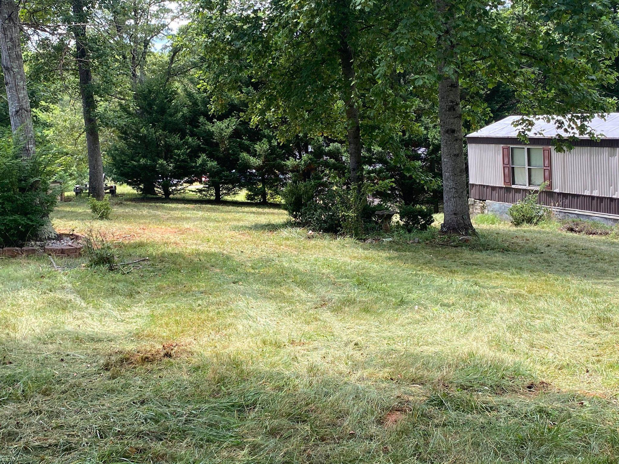 20 Tolley Road Hardy, VA 24101 - Photo 5 of 12 a view of a house with a yard