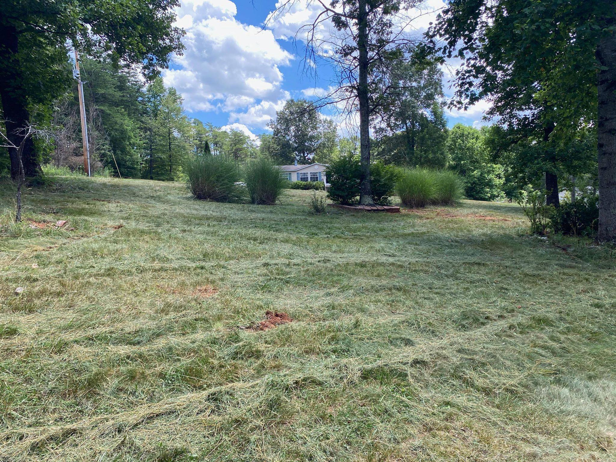 20 Tolley Road Hardy, VA 24101 - Photo 9 of 12 a backyard of a house with lots of green space