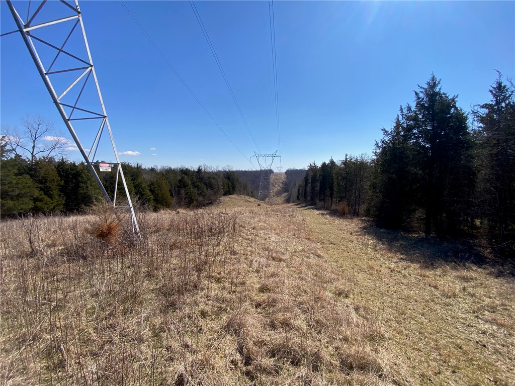 43 Old State Road Manchester, OH 45144 - Photo 2 of 11 Expansive natural landscape featuring mature trees and utility structures under a bright sky.