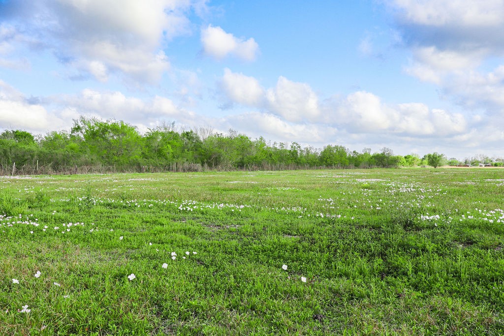1115 Farm To Market 1462 Rosharon, TX 77583 - Photo 7 of 20