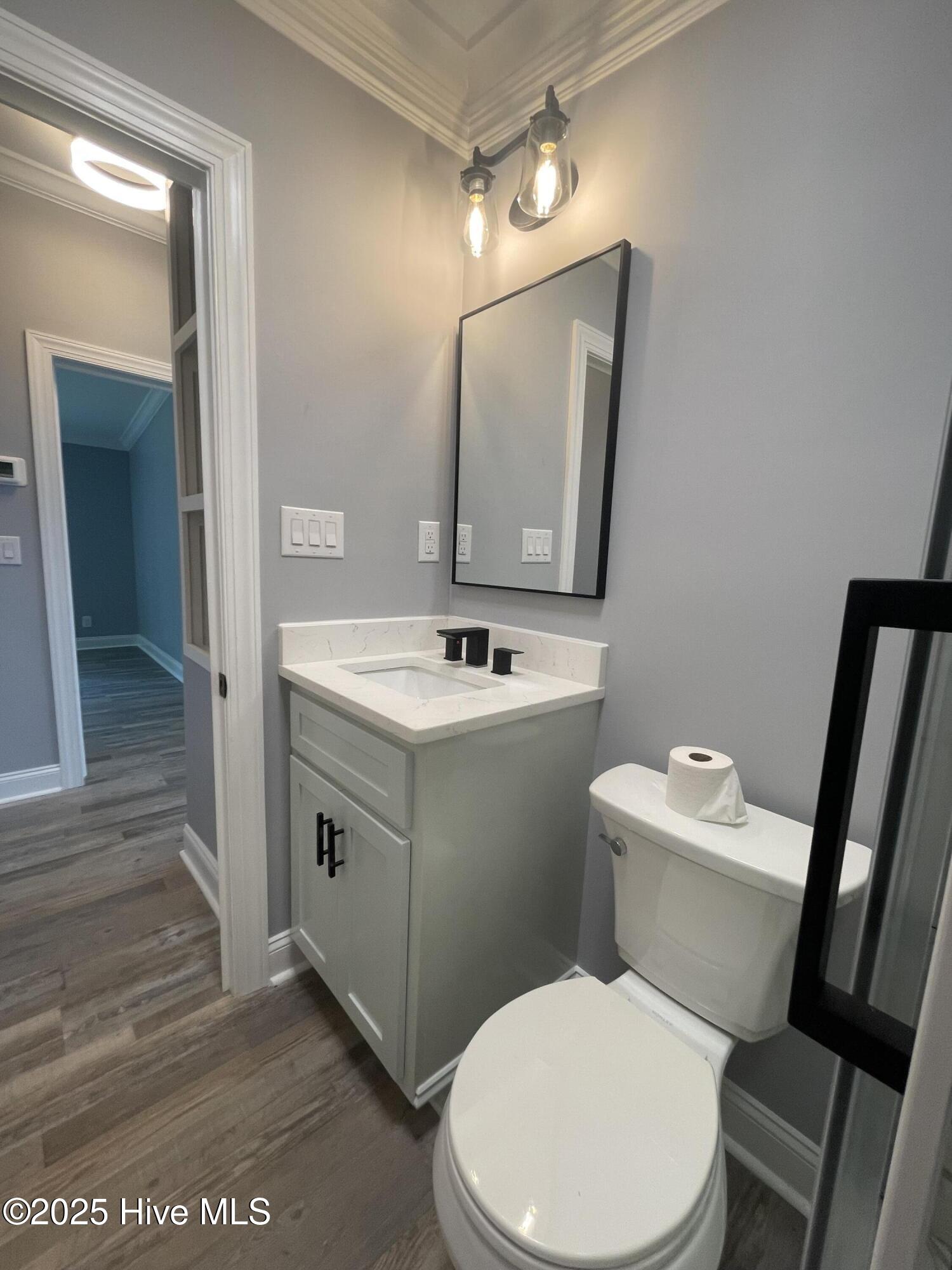 234 Bullard Road Chadbourn, NC 28431 - Photo 29 of 85 Guest bathroom