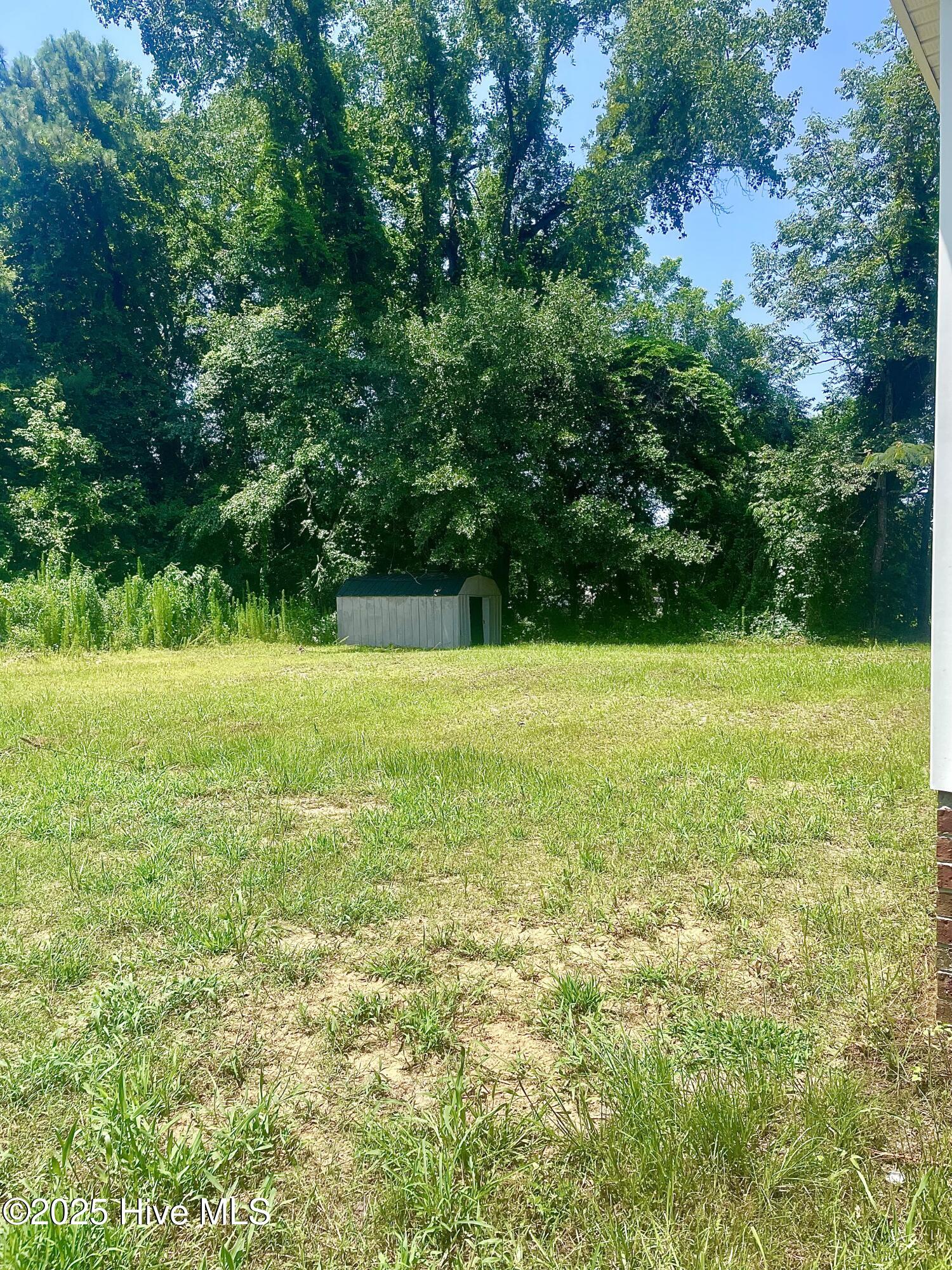 234 Bullard Road Chadbourn, NC 28431 - Photo 54 of 85 Back yard