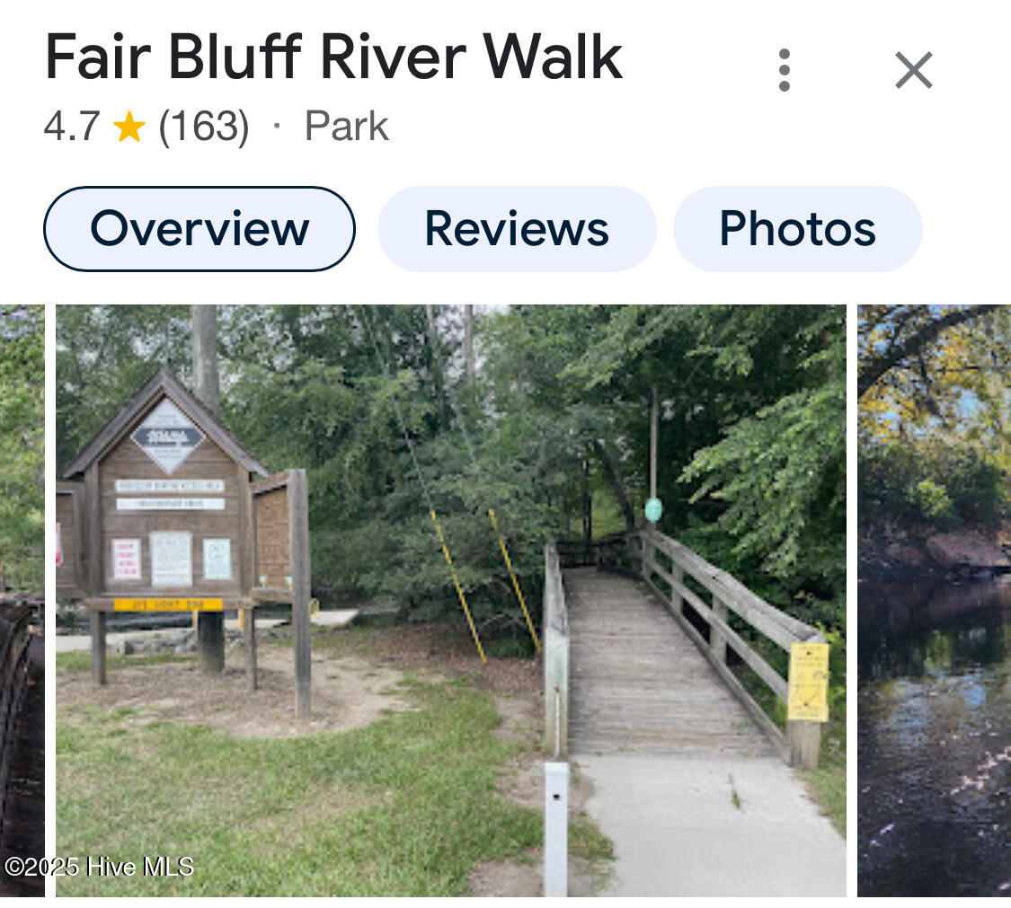 234 Bullard Road Chadbourn, NC 28431 - Photo 78 of 85 Nature trails