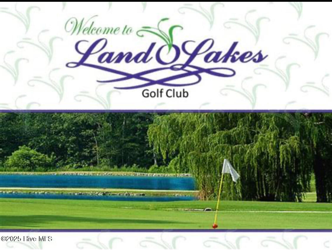 234 Bullard Road Chadbourn, NC 28431 - Photo 81 of 85 IMG_3995