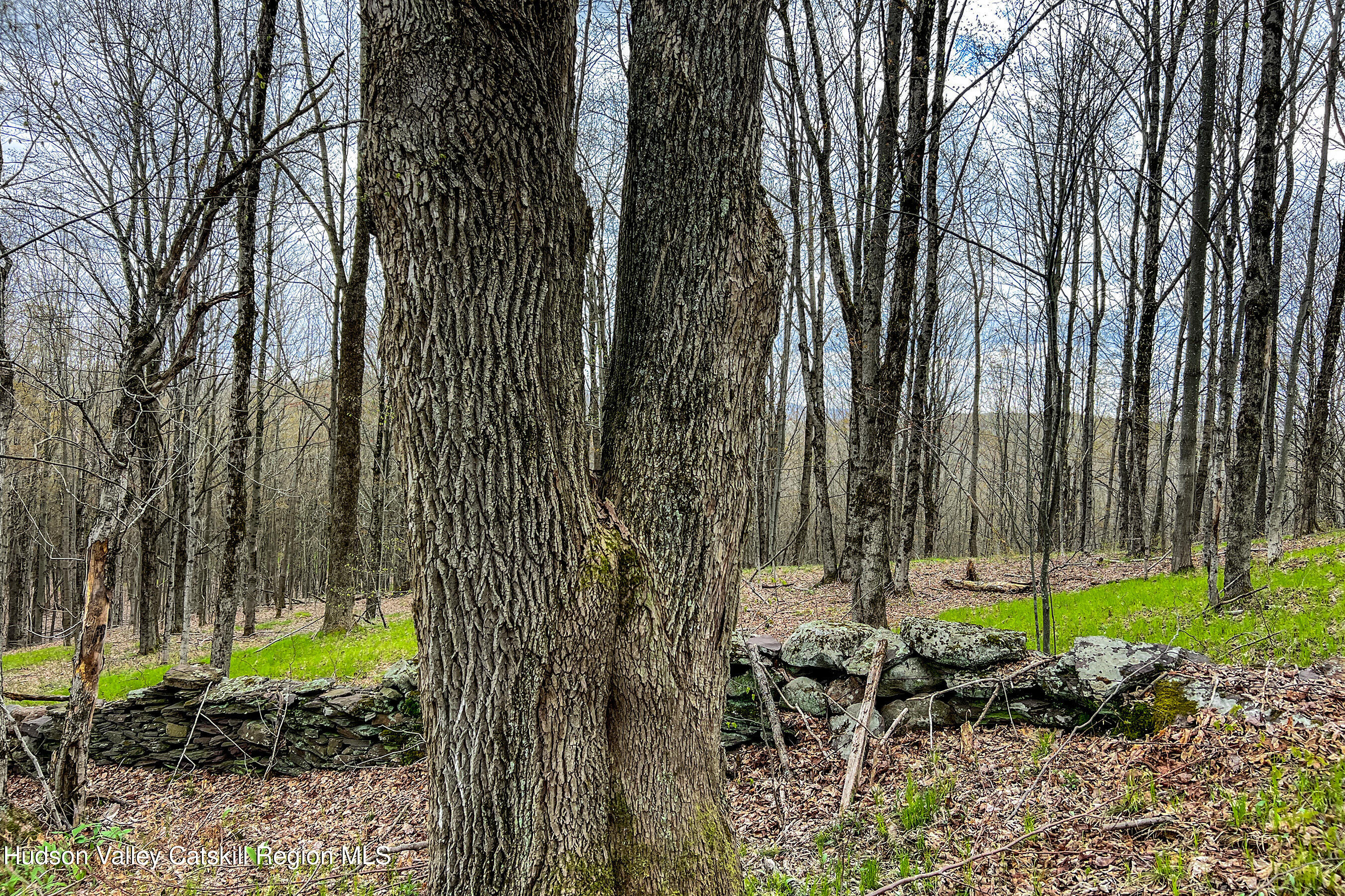 0 Brownell Road Bloomville, NY 13739 - Photo 26 of 39 23 acres Brownell Rd -- 024