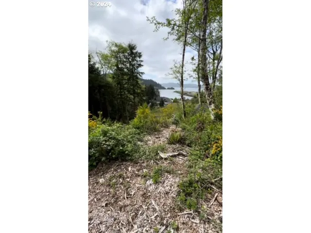 a picture of a yard with plants and a plant