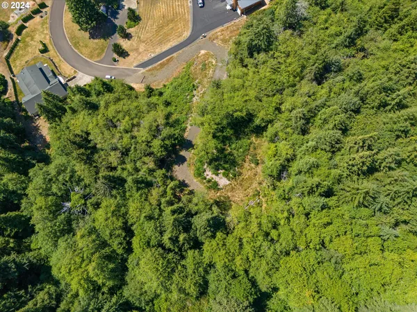 an aerial view of a residential houses with yard