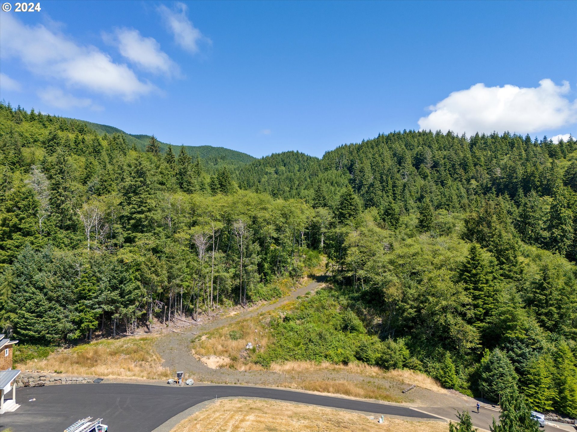 Franklin Street Garibaldi, OR 97118 - Photo 9 of 11 a view of a city with lush green forest