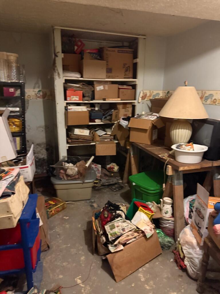 4392 Berry Road Marion, OH 43302 - Photo 24 of 25 basement