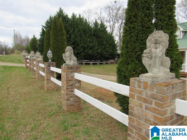 844 County Road 313 Delta, AL 36258 - Photo 4 of 35