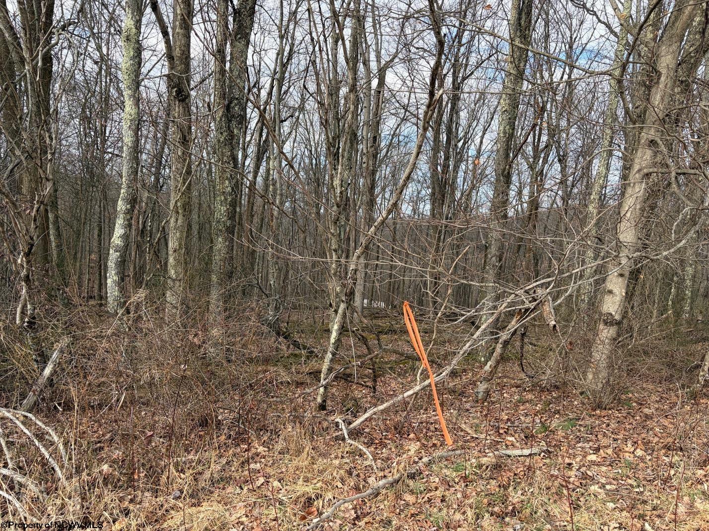 Tbd Mount Zion Road Fairmont, WV 26554 - Photo 15 of 29 Gallery Image 15