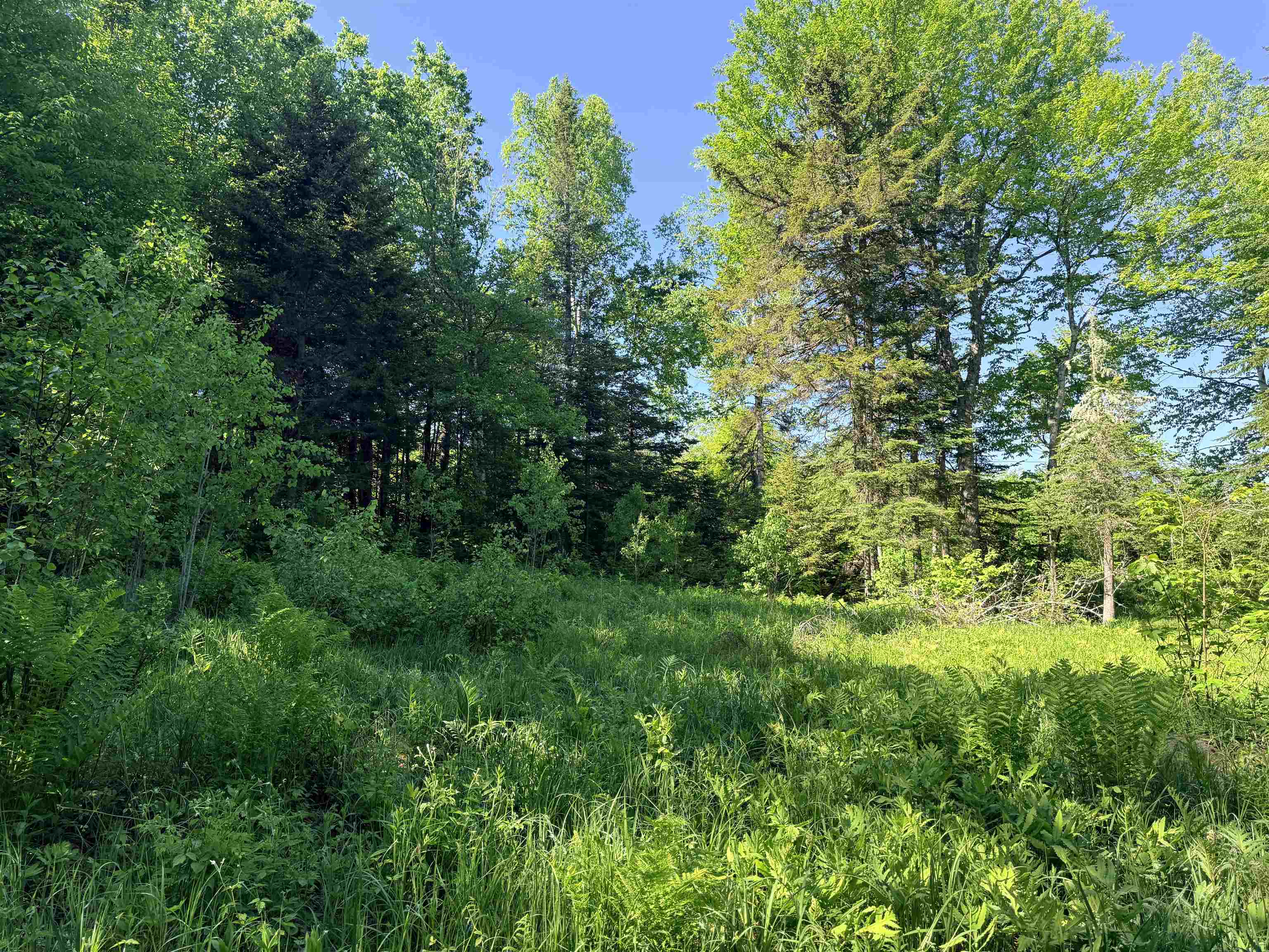 0 Tug Mountain Road Lunenburg, VT 05906 - Photo 8 of 18