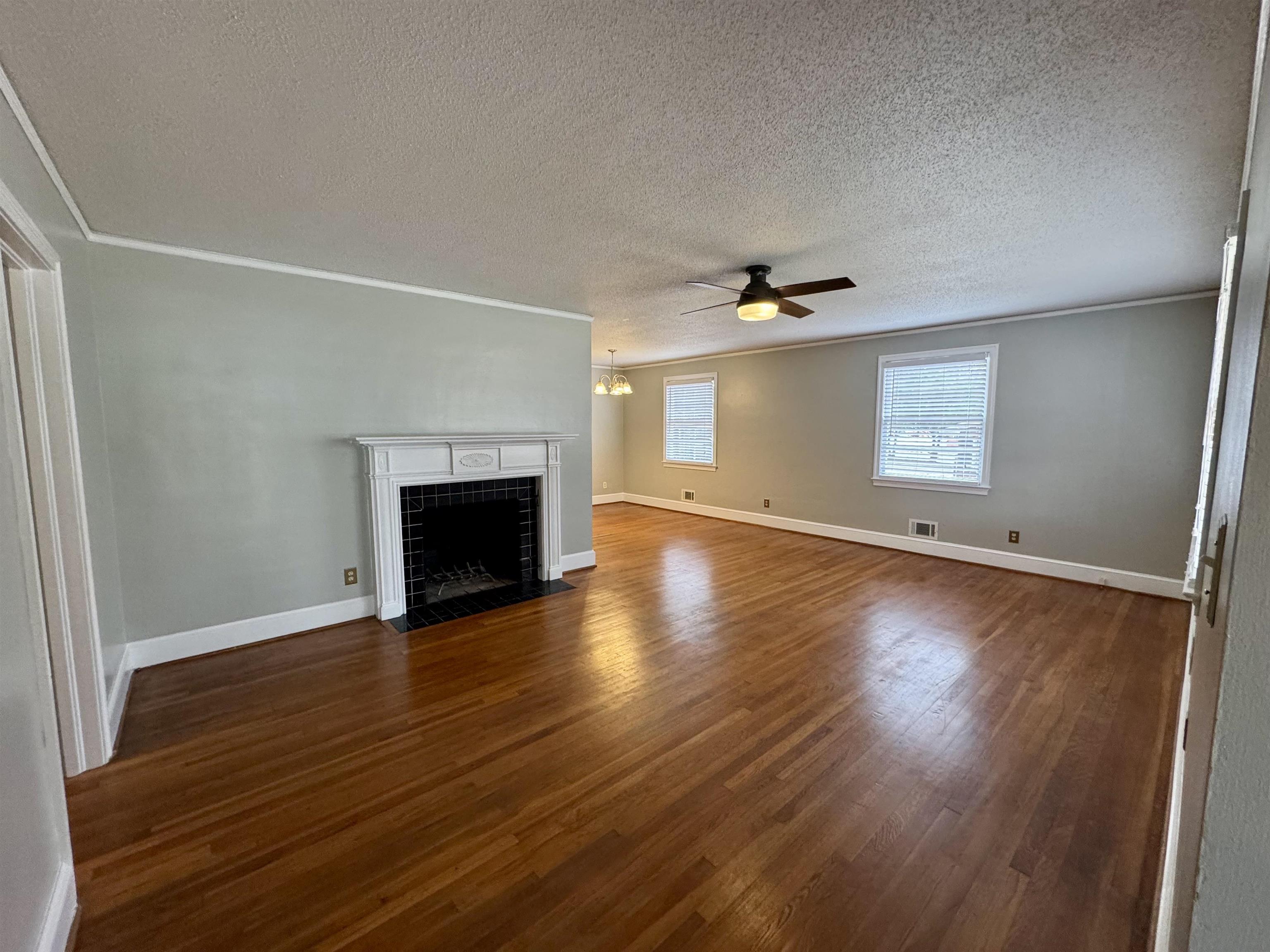 517 County Rd S-45-104 Kingstree, SC 29556 - Photo 5 of 32