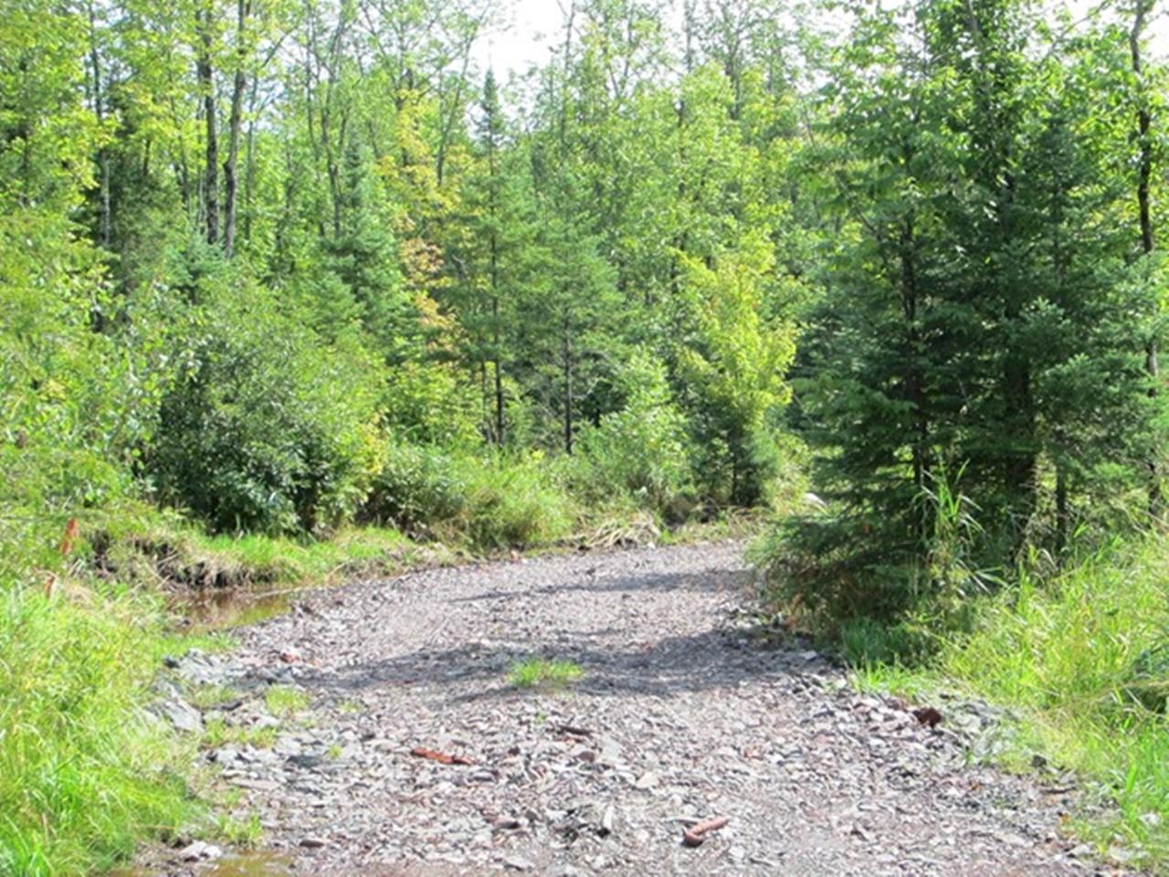 Off Flowage Road, Unit PARCEL C Hurley, WI 54534 - Photo 5 of 11 Gallery Image 5