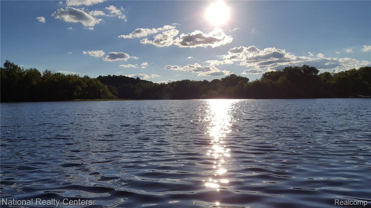 1588 Mull Road Tipton, MI 49287 - Photo 3 of 28 picture this view everymorning