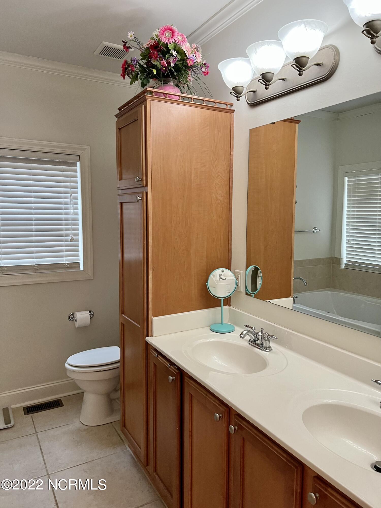 4 Ridge Road Jackson Springs, NC 27281 - Photo 19 of 33 Master bathroom